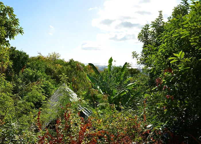Hôtel de luxe: Lodge Roche Tamarin